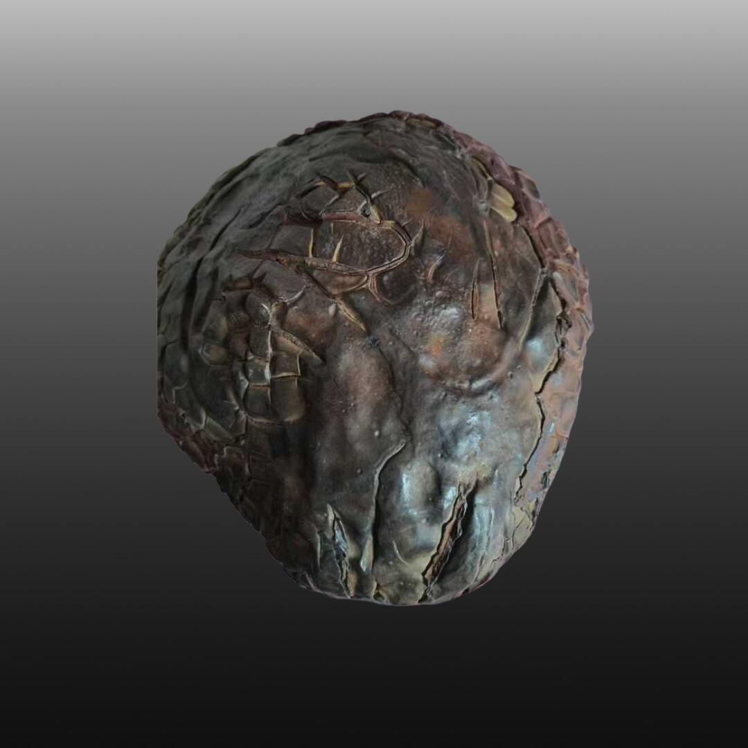 程曦曙光-安欣 龟裂纹陨石4265