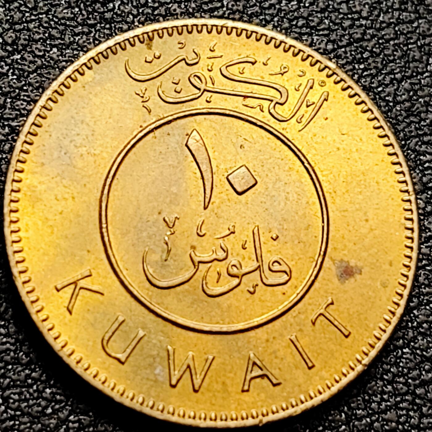 泉币菌-第159场-新年第二场 精品福利场 。