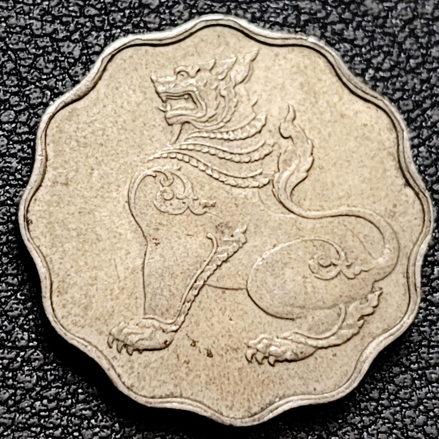 泉币菌-第159场-新年第二场 精品福利场 。