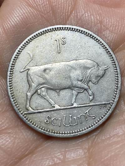 2026年第三场(总第一百七十二场）外国好品散币场(免佣金) - 爱尔兰🇮🇪1962年1先令(共和国时期第一套第二版)