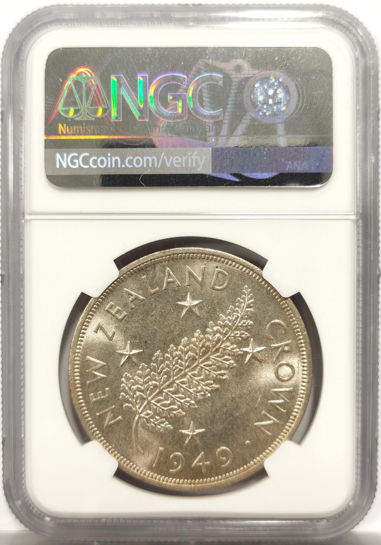 博洋堂“岁启嘉年”2026新年精品大拍专场暨第155期（全场包邮）