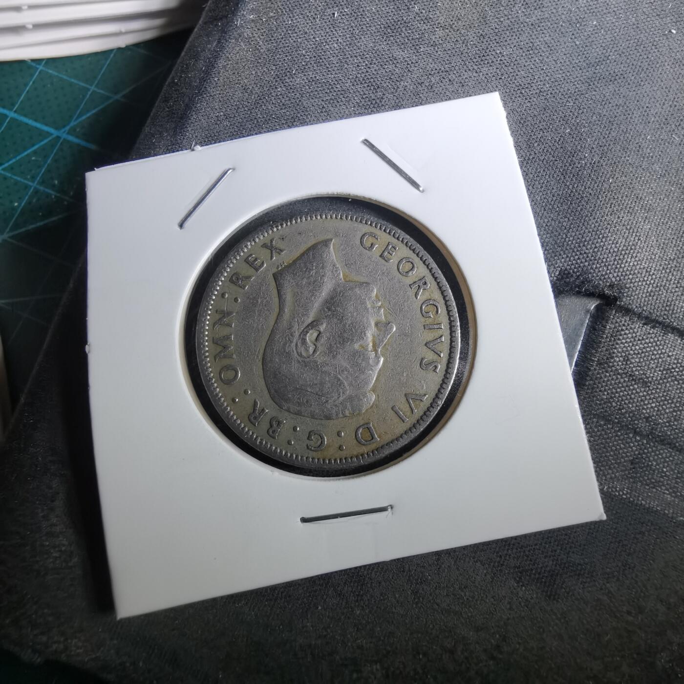 沼泽如烟--第950场