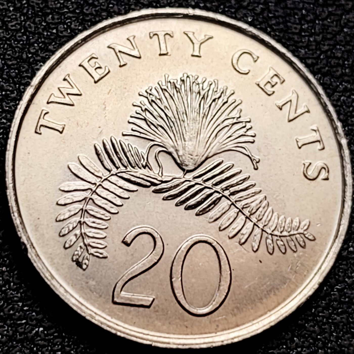 泉币菌-第159场-新年第二场 精品福利场 。