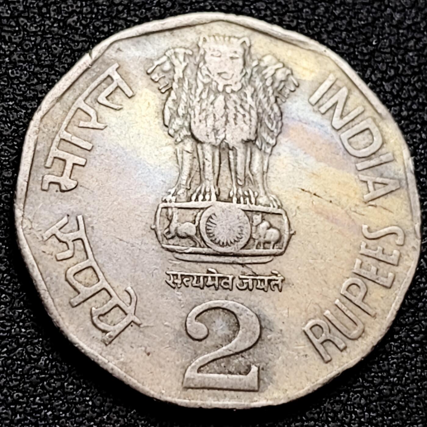 泉币菌-第159场-新年第二场 精品福利场 。