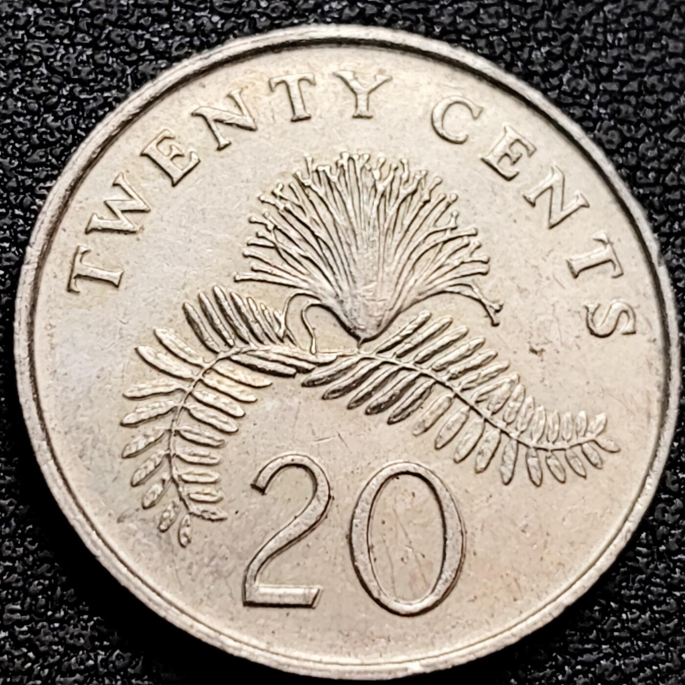 泉币菌-第159场-新年第二场 精品福利场 。