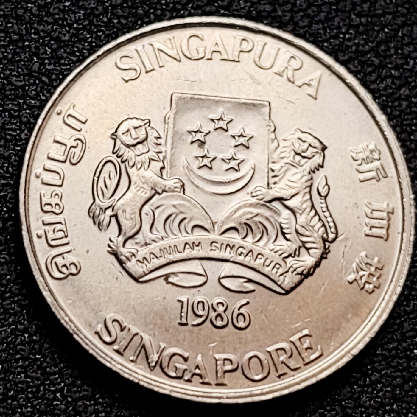 泉币菌-第159场-新年第二场 精品福利场 。