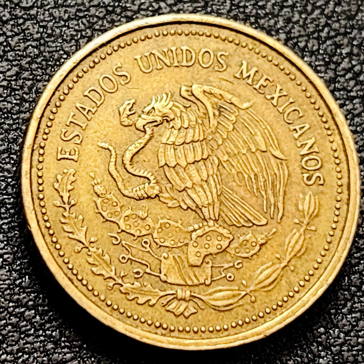 泉币菌-第159场-新年第二场 精品福利场 。