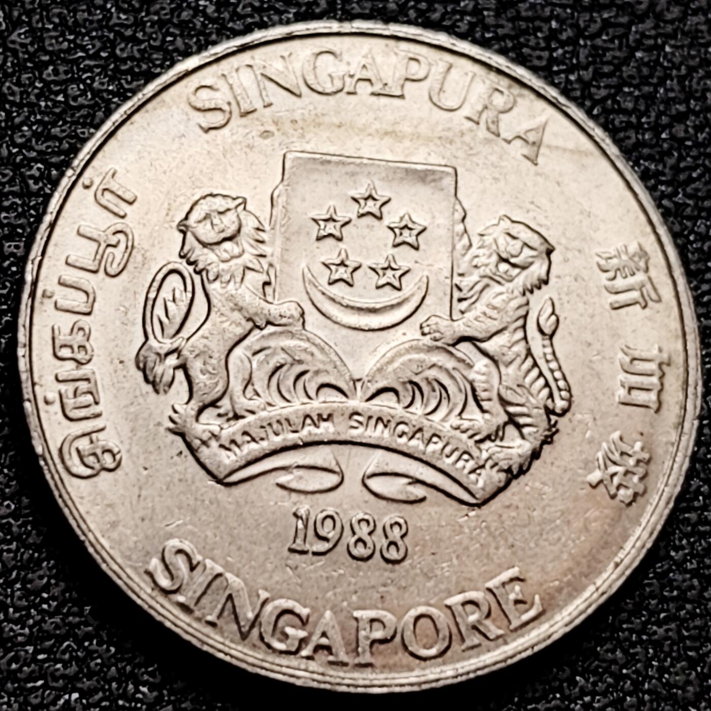 泉币菌-第159场-新年第二场 精品福利场 。