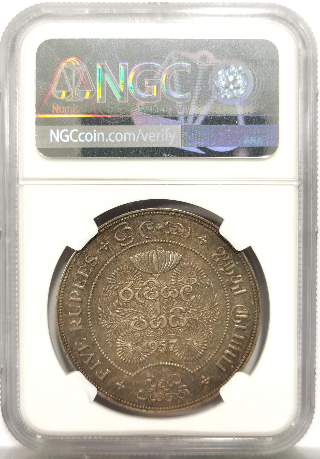 博洋堂“岁启嘉年”2026新年精品大拍专场暨第155期（全场包邮）