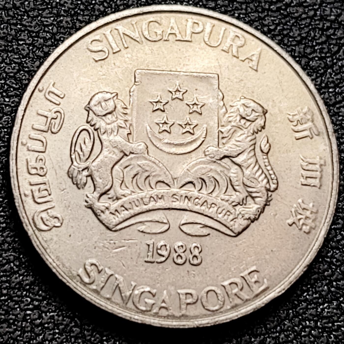 泉币菌-第159场-新年第二场 精品福利场 。