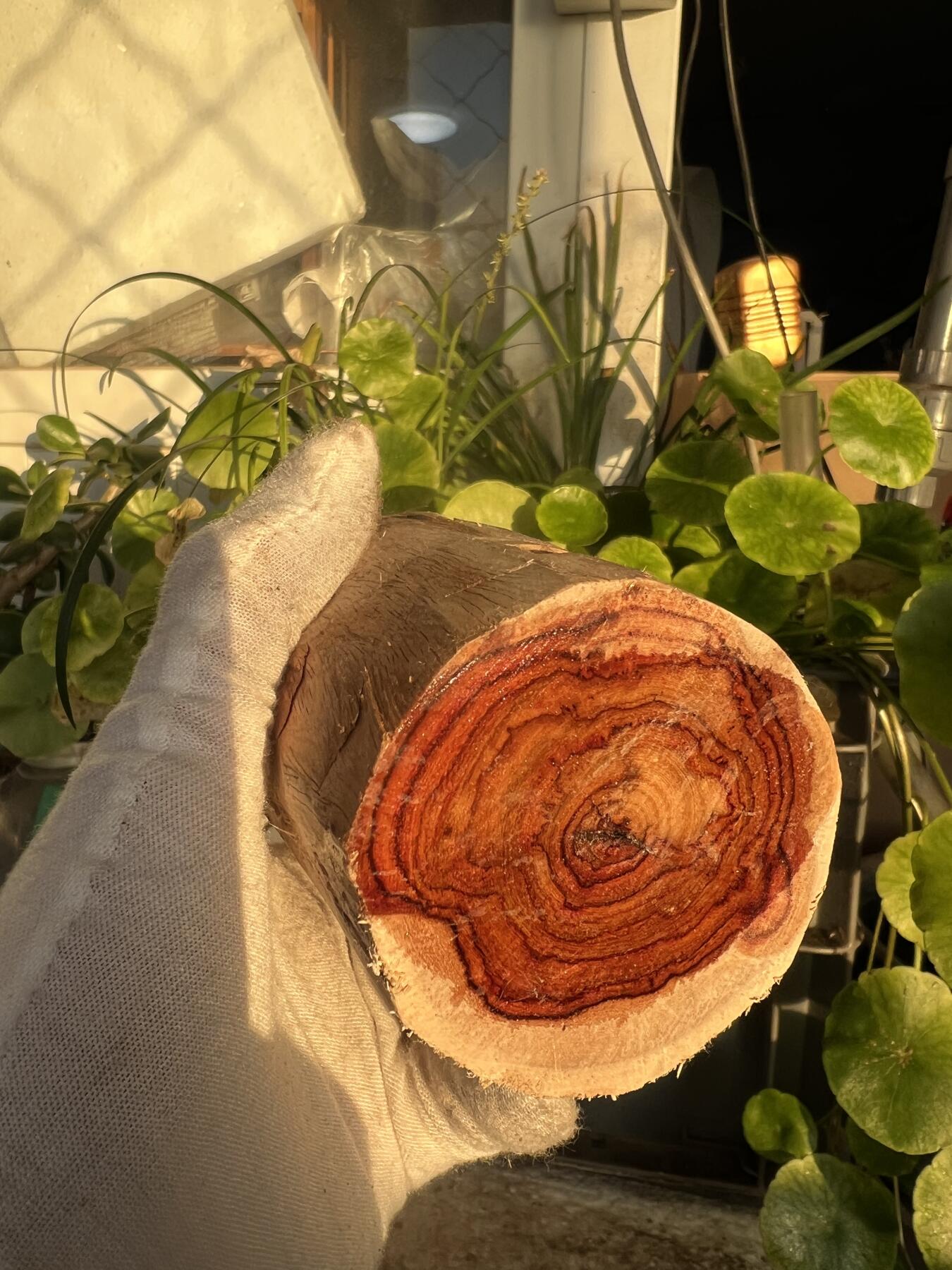 零元拍：  NO56-2 海南黄花梨原料。尺寸约105/50/50MM