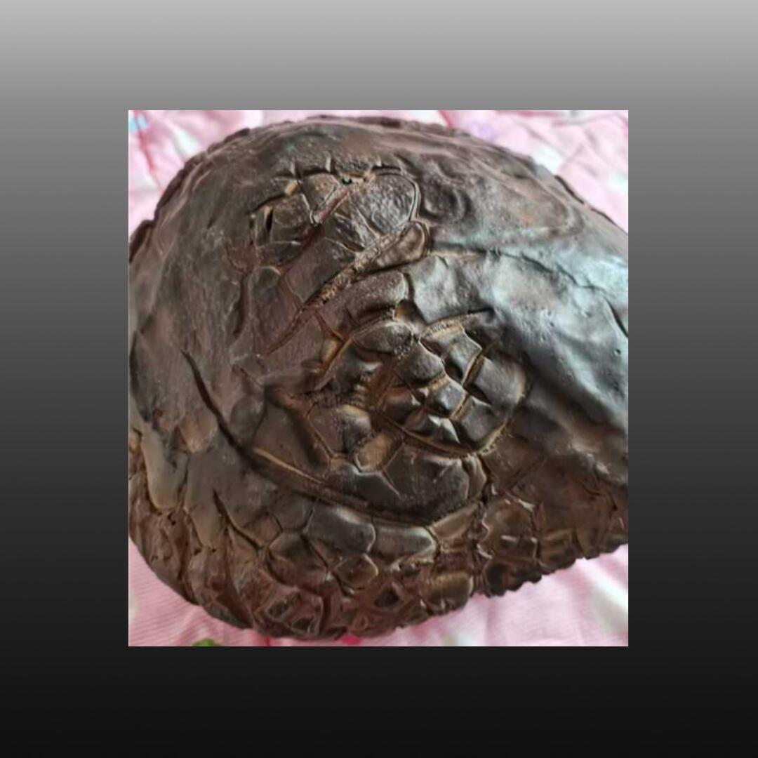 程曦曙光-安欣 龟裂纹陨石4265