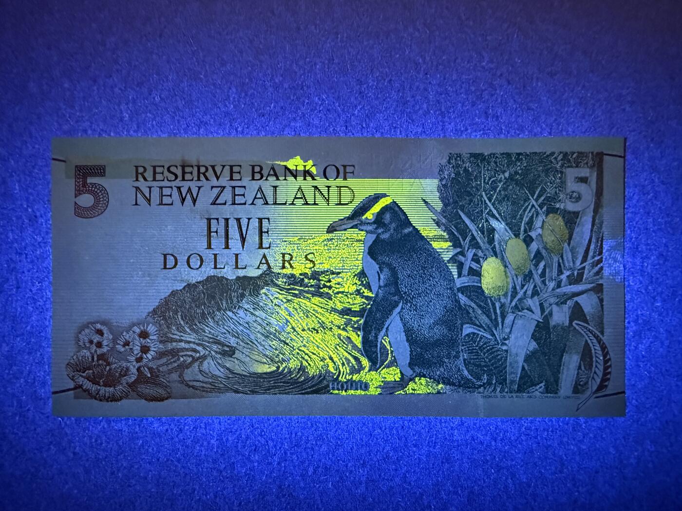 《艾美收藏》第227期-1.3周六外币黄金场-马年首拍 新西兰5元 UNC 1992年 黄眼企鹅 背面边缘有处荧光 无47