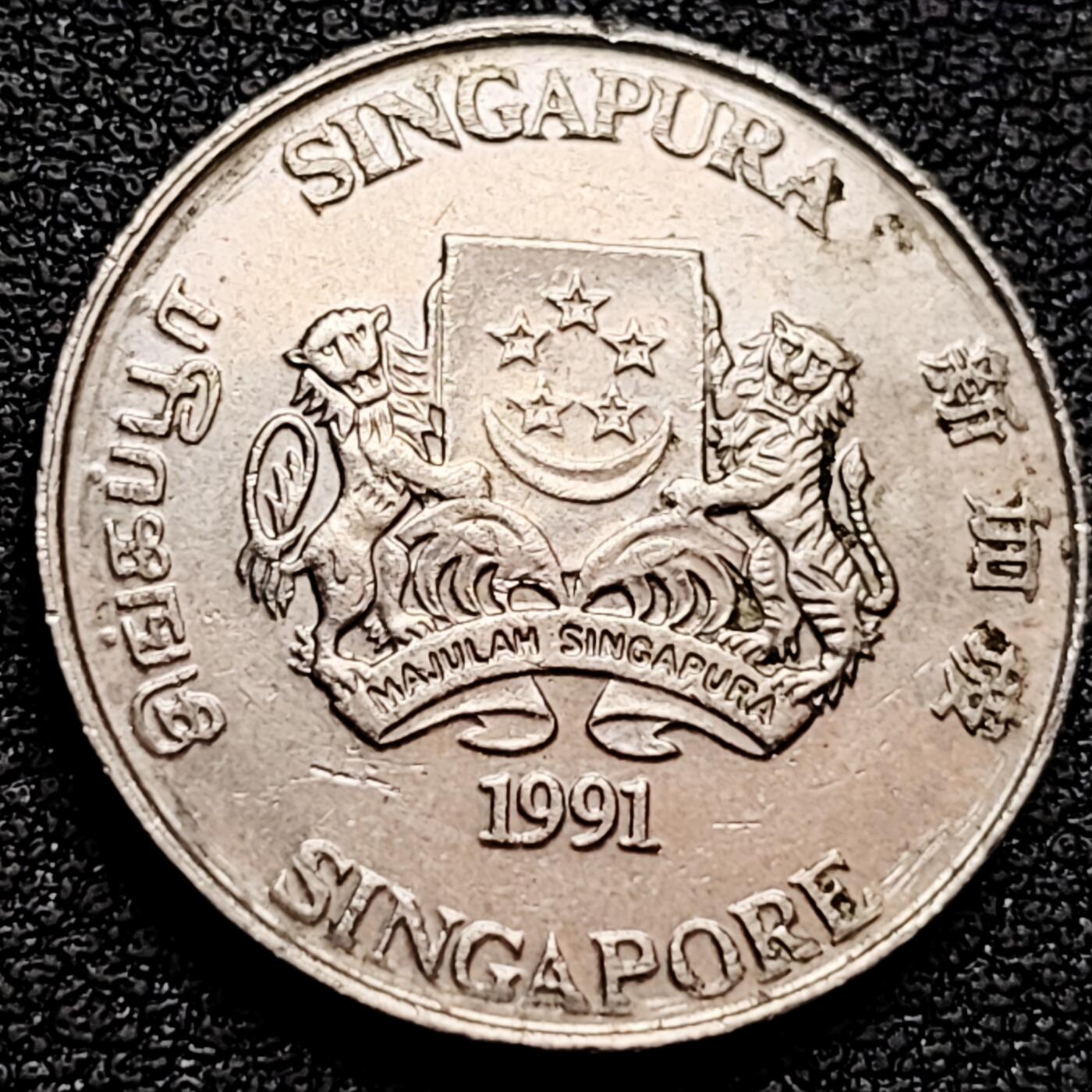 泉币菌-第159场-新年第二场 精品福利场 。