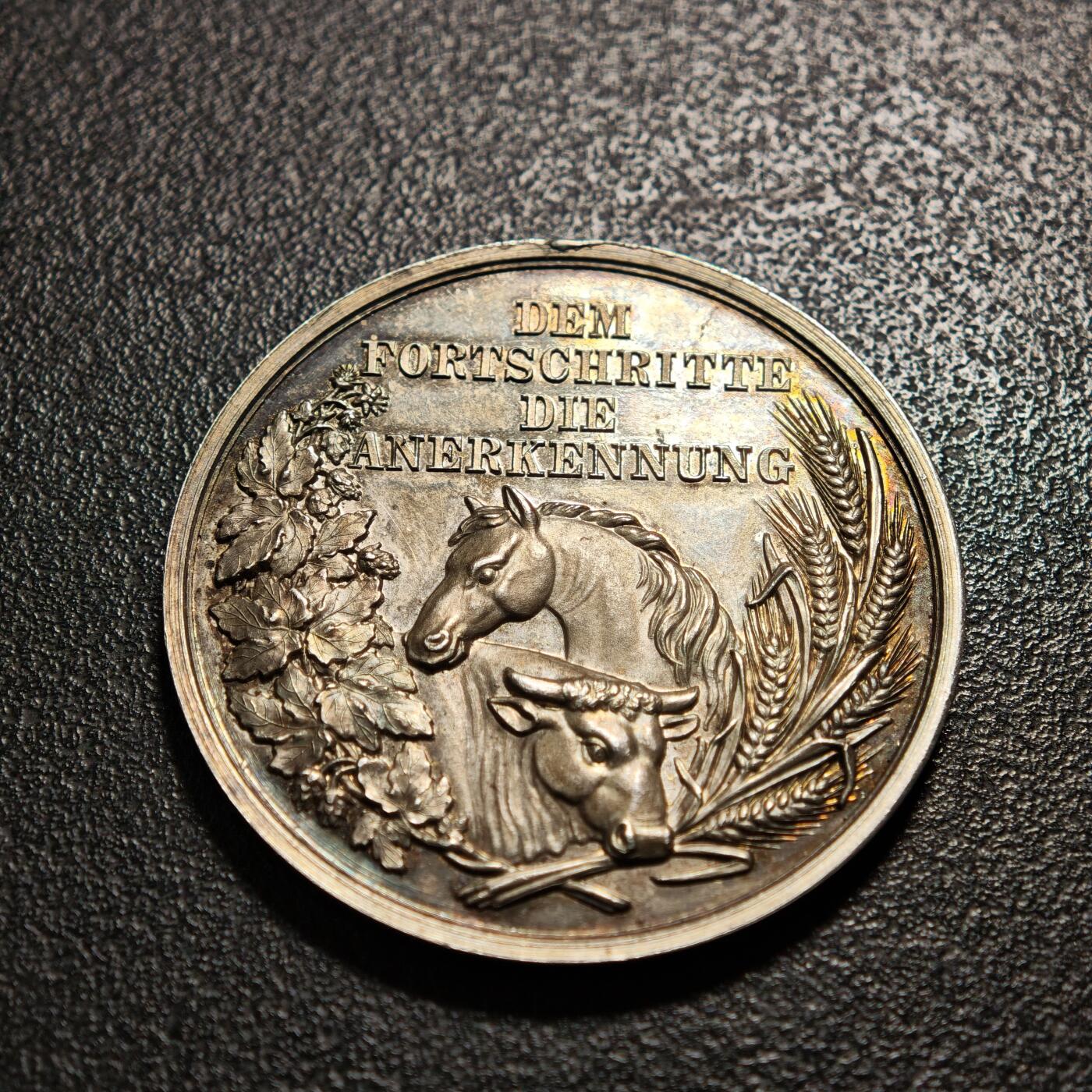 【德藏】世界币章拍卖第160期 1870年 奥地利恩斯地区皇家农业协会创立表彰奖章纪念银章 设计精美 吊环去除 直径约：39.3mm；重约：24.9g