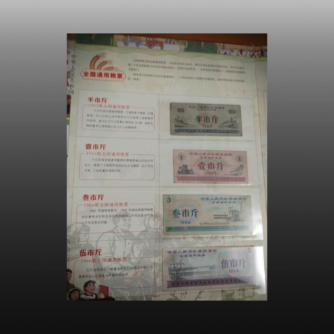 程曦曙光-安欣 粮票整本100张