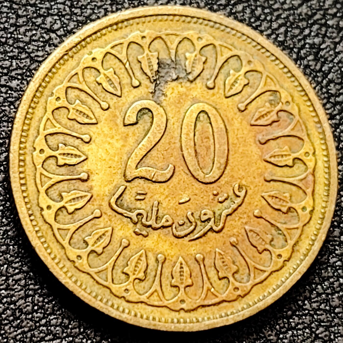 泉币菌-第159场-新年第二场 精品福利场 。