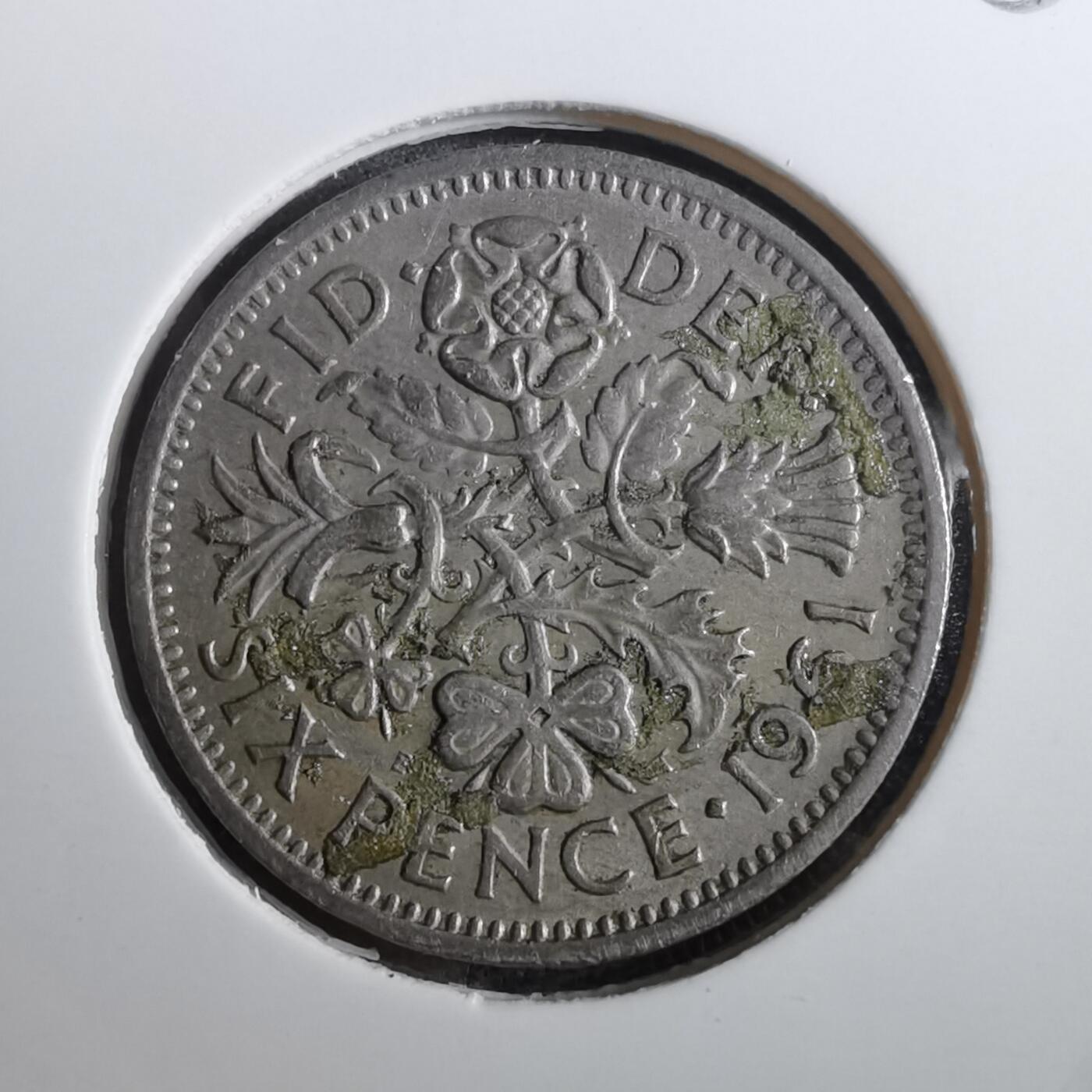 沼泽如烟--第950场