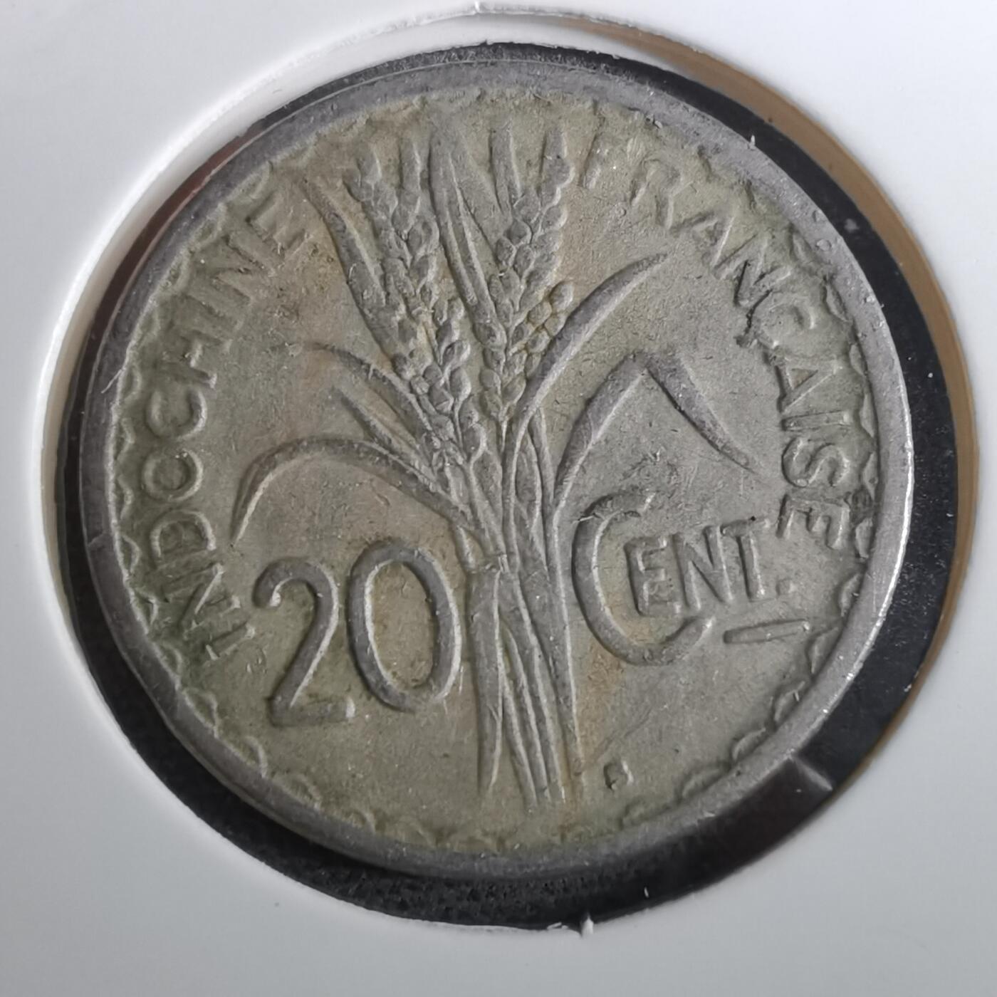 沼泽如烟--第950场