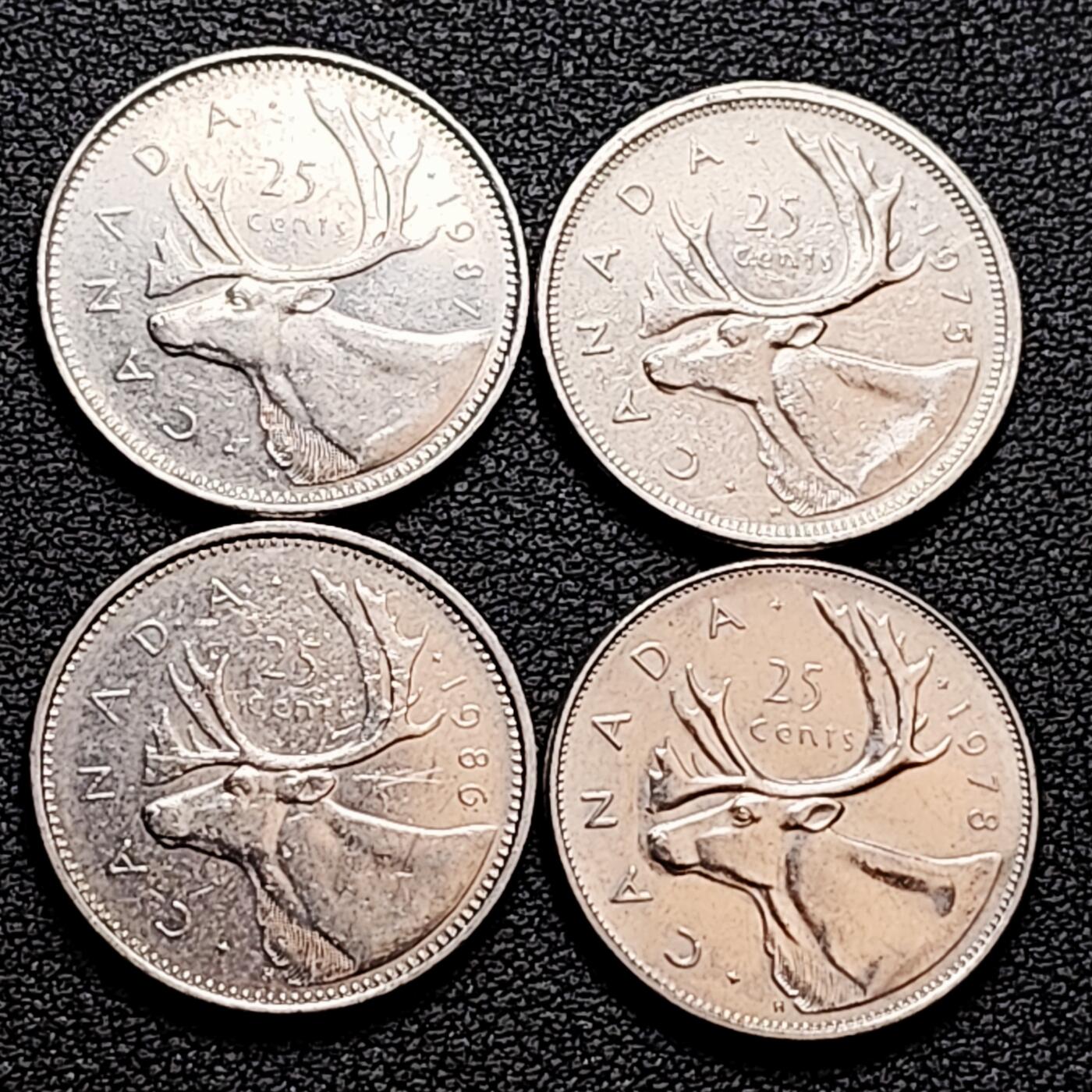 泉币菌-第159场-新年第二场 精品福利场 。