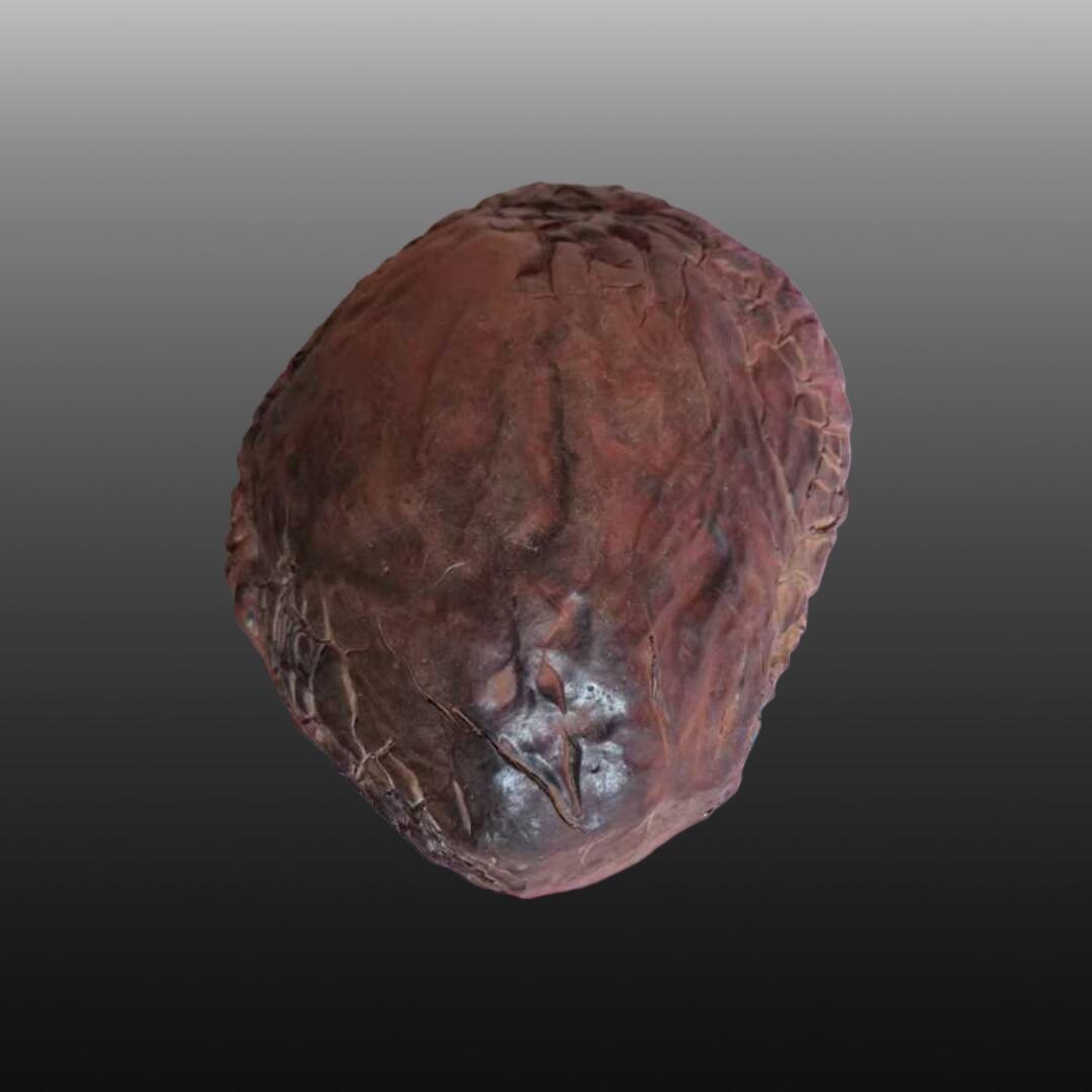 程曦曙光-安欣 龟裂纹陨石4265