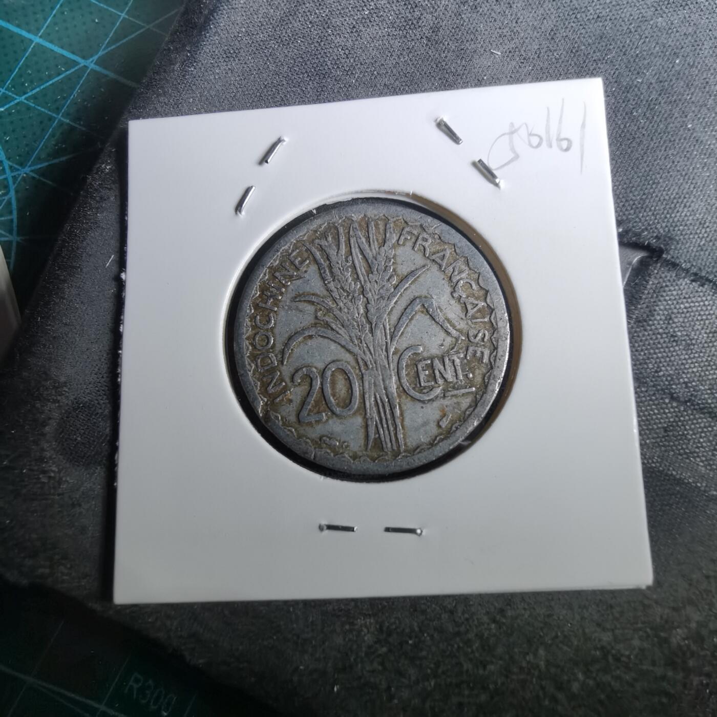 沼泽如烟--第950场