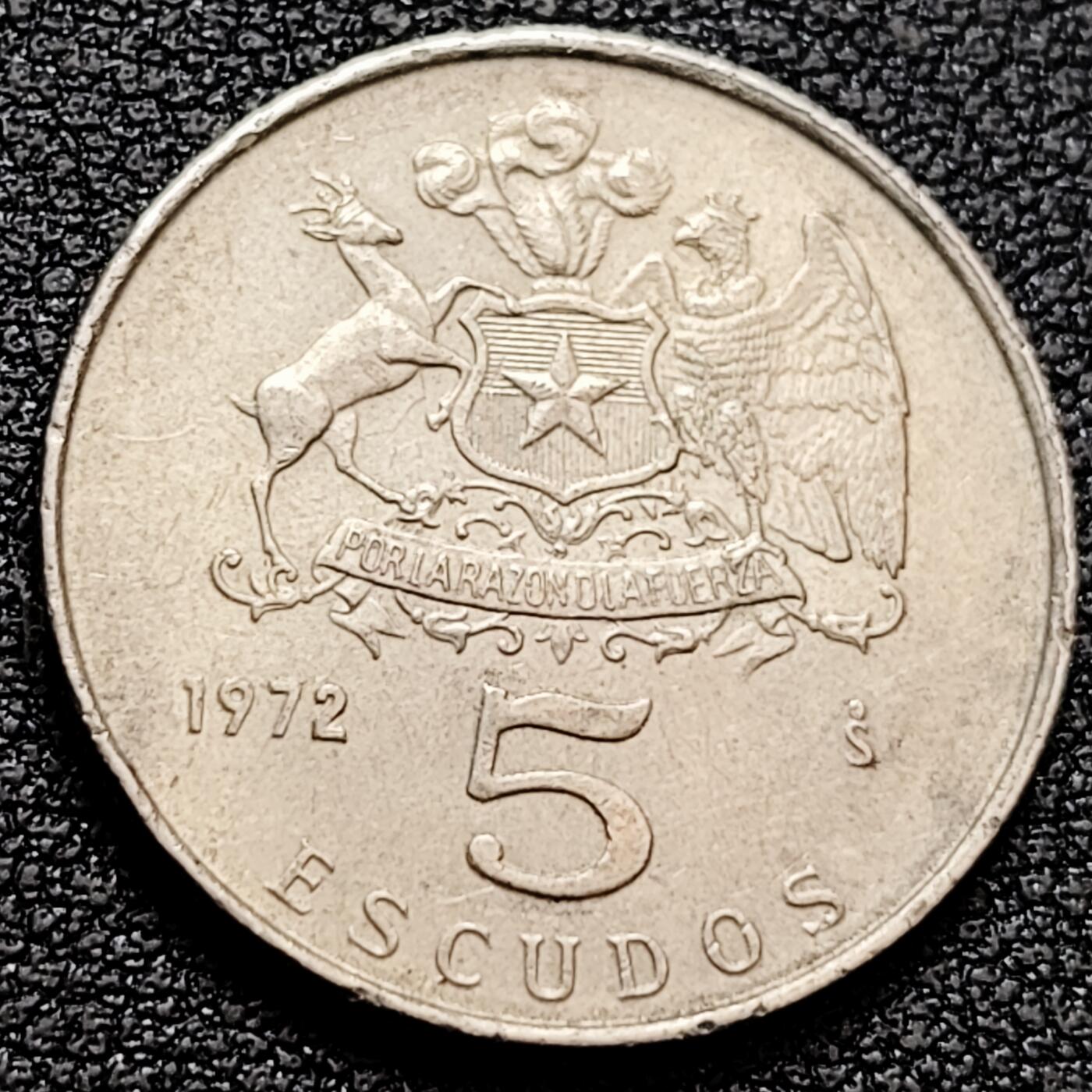 泉币菌-第159场-新年第二场 精品福利场 。