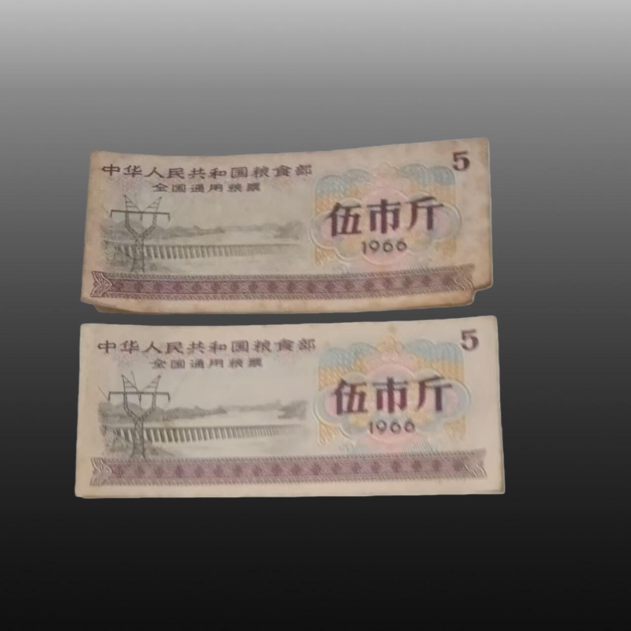 程曦曙光-安欣 1966年粮票两张