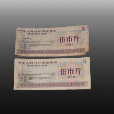 程曦曙光-安欣 - 1966年粮票两张