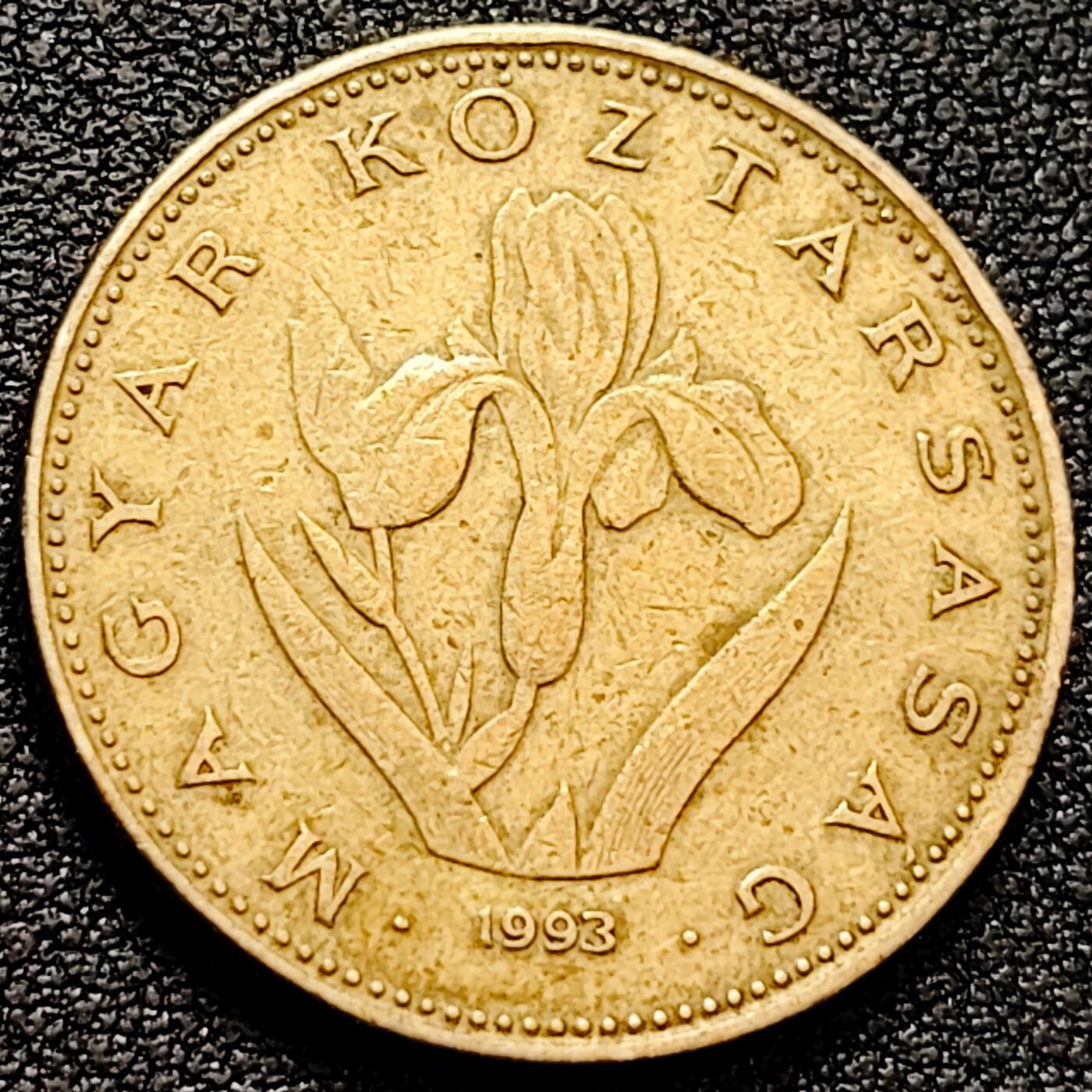 泉币菌-第160场-新年第三场 精品福利场 无叶鸢尾花 匈牙利1993年 20福林銅镍锌硬币 26.3毫米 6.9克