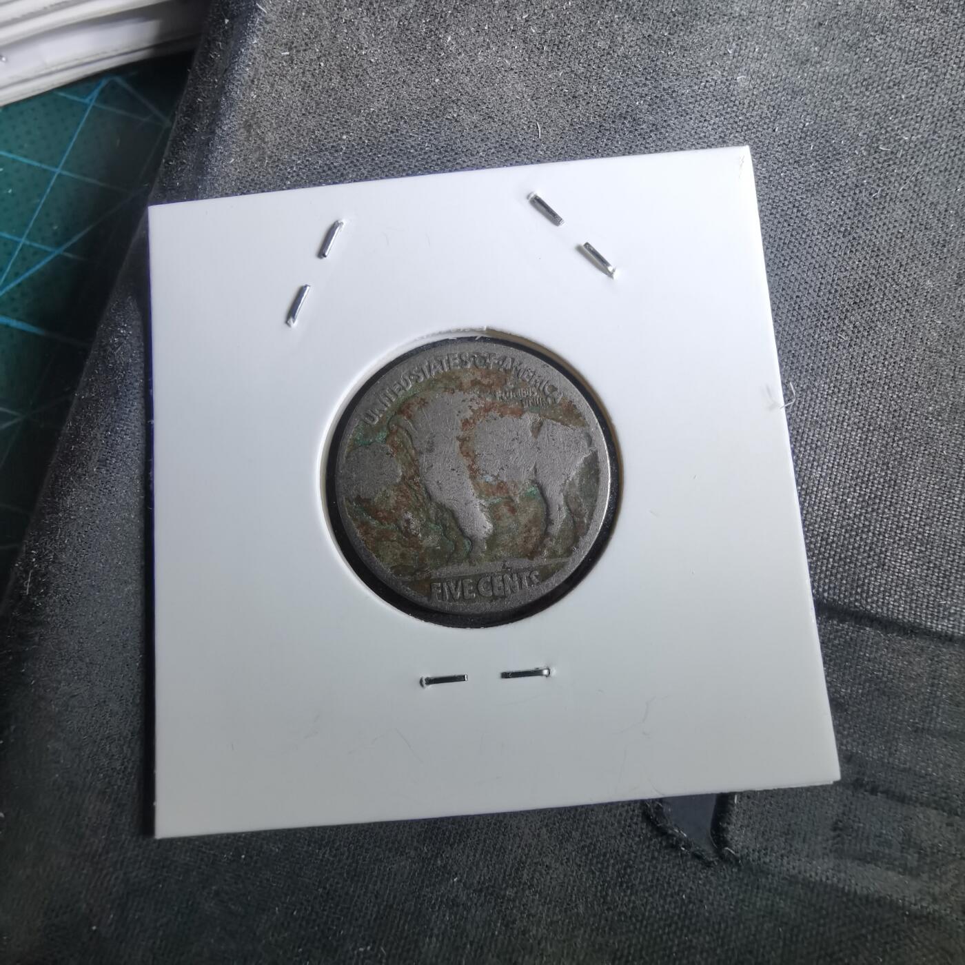 沼泽如烟--第950场 美国五分野牛