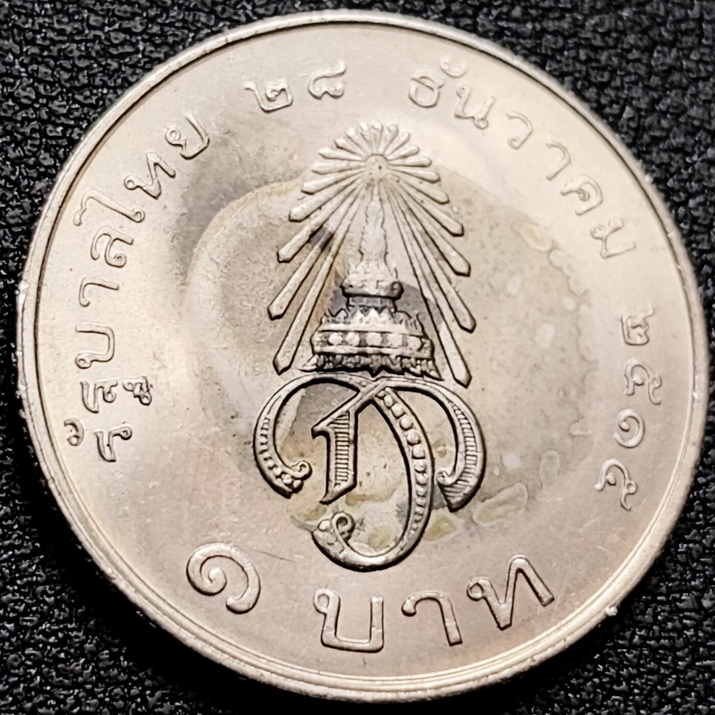 泉币菌-第159场-新年第二场 精品福利场 。