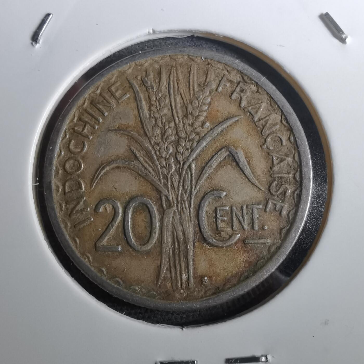 沼泽如烟--第950场