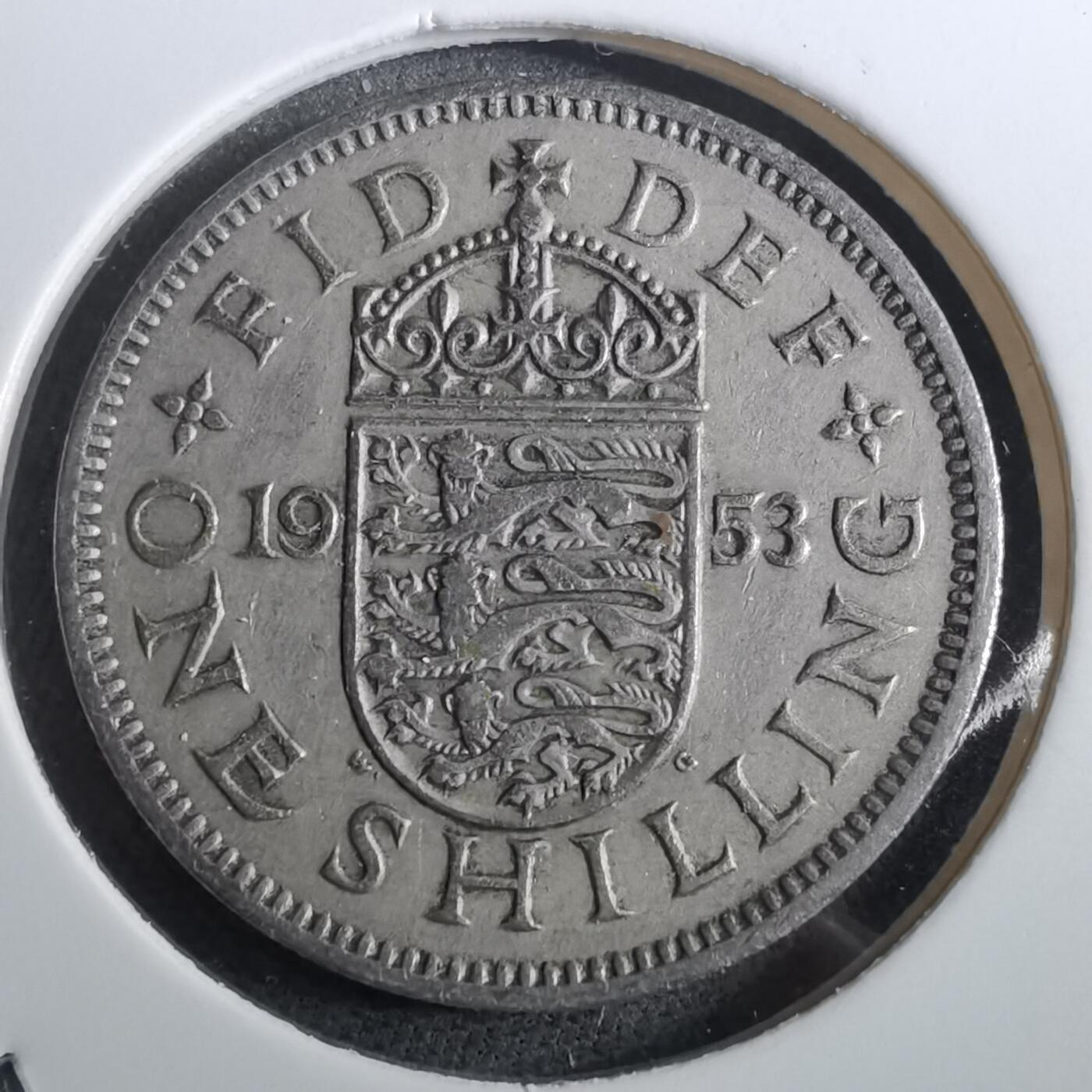 沼泽如烟--第950场