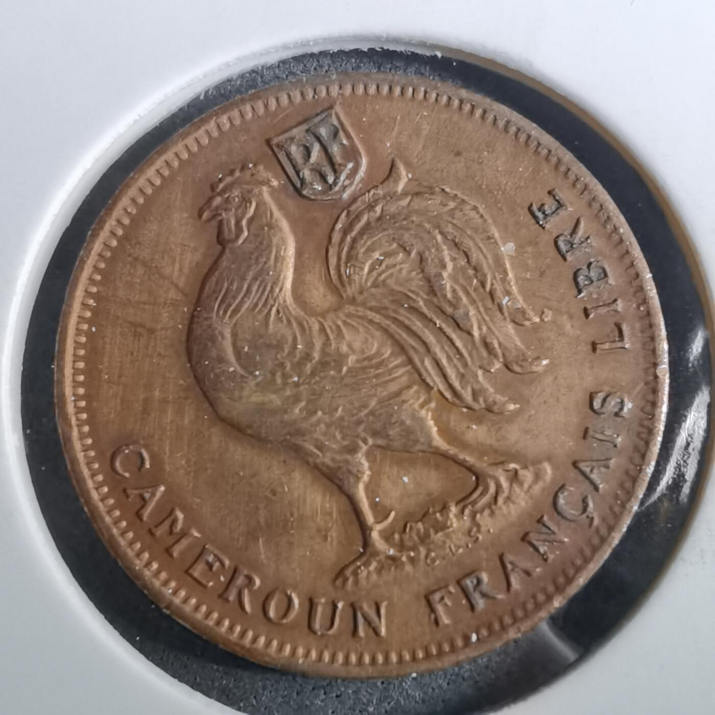 沼泽如烟--第950场