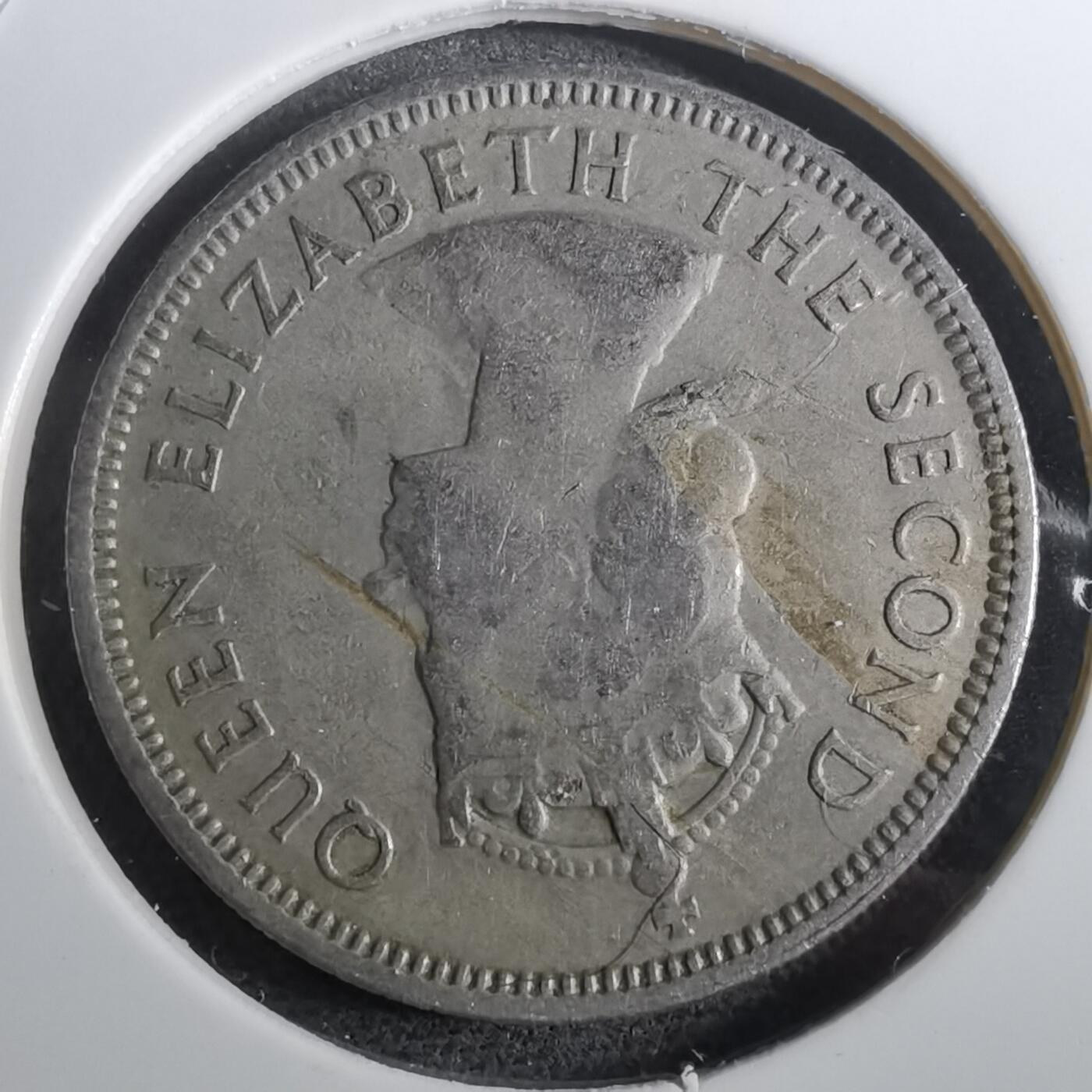 沼泽如烟--第950场