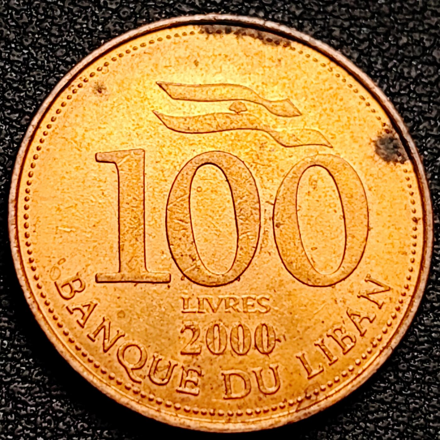 泉币菌-第159场-新年第二场 精品福利场 。