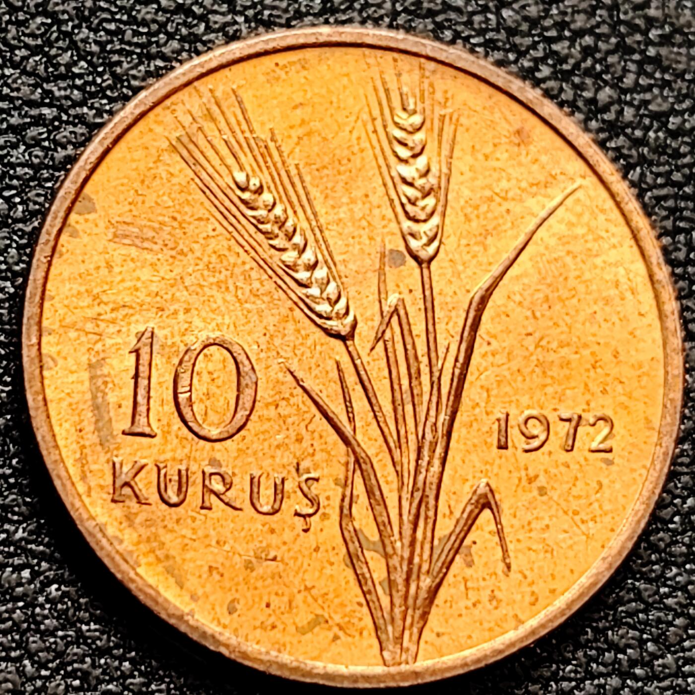 泉币菌-第159场-新年第二场 精品福利场 。