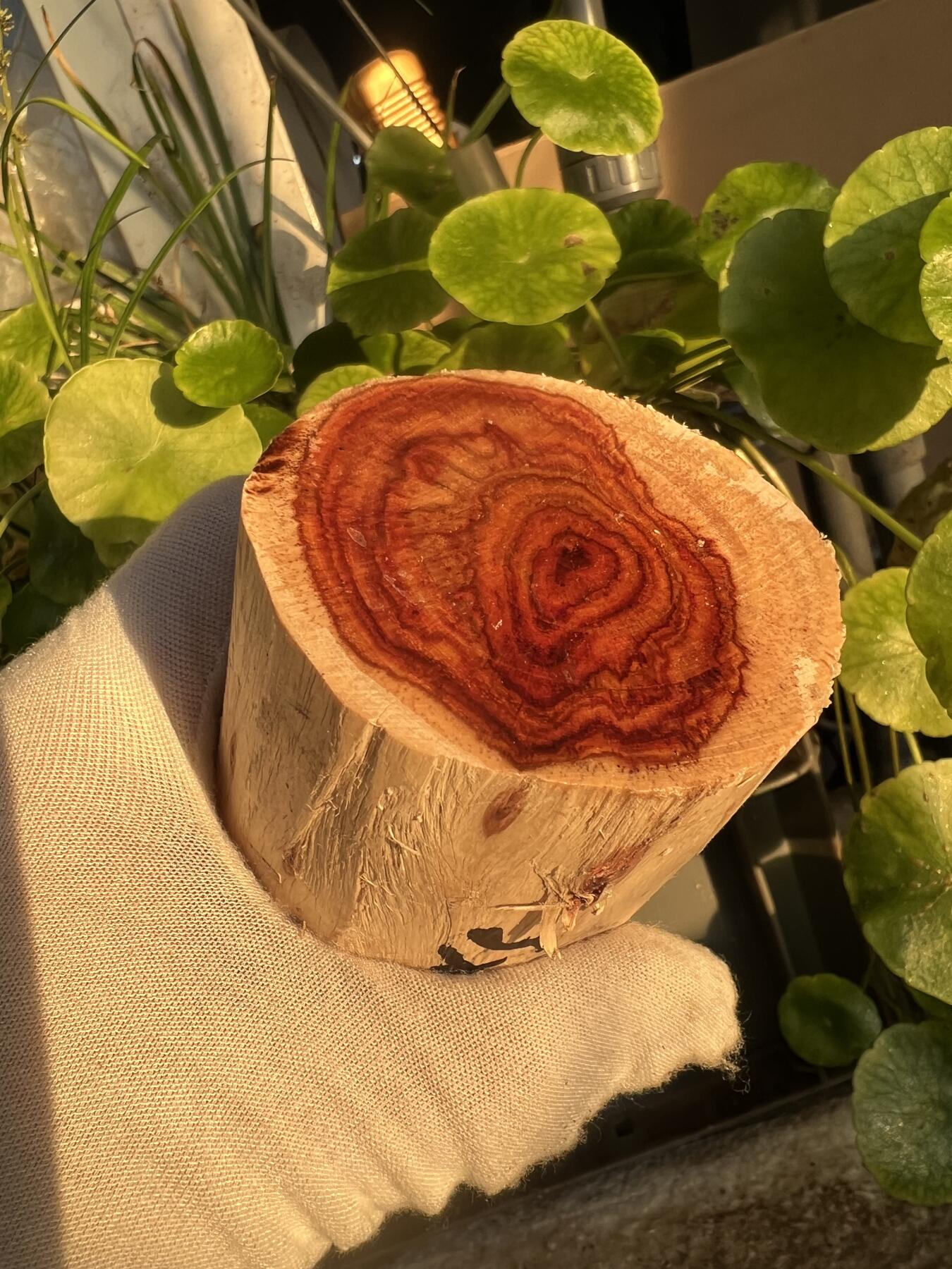 零元拍：  NO.88海南黄花梨原料。尺寸约105/50/50MM