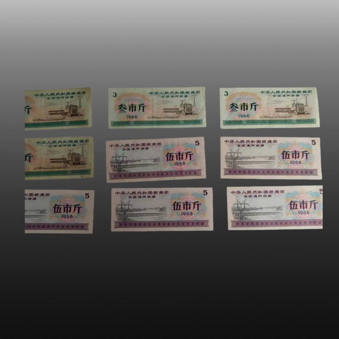 程曦曙光-安欣 1966年全国5斤的粮票