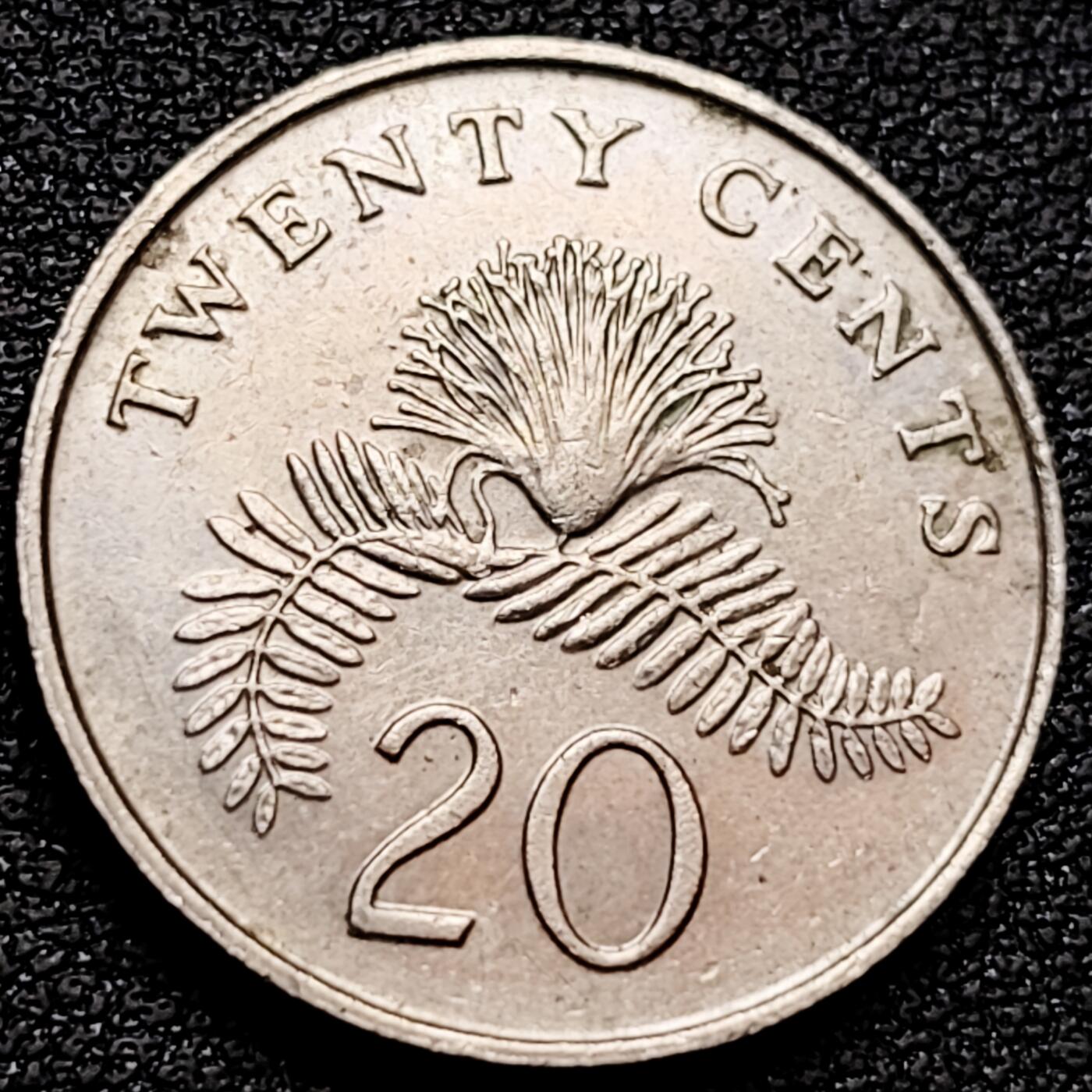 泉币菌-第159场-新年第二场 精品福利场 。