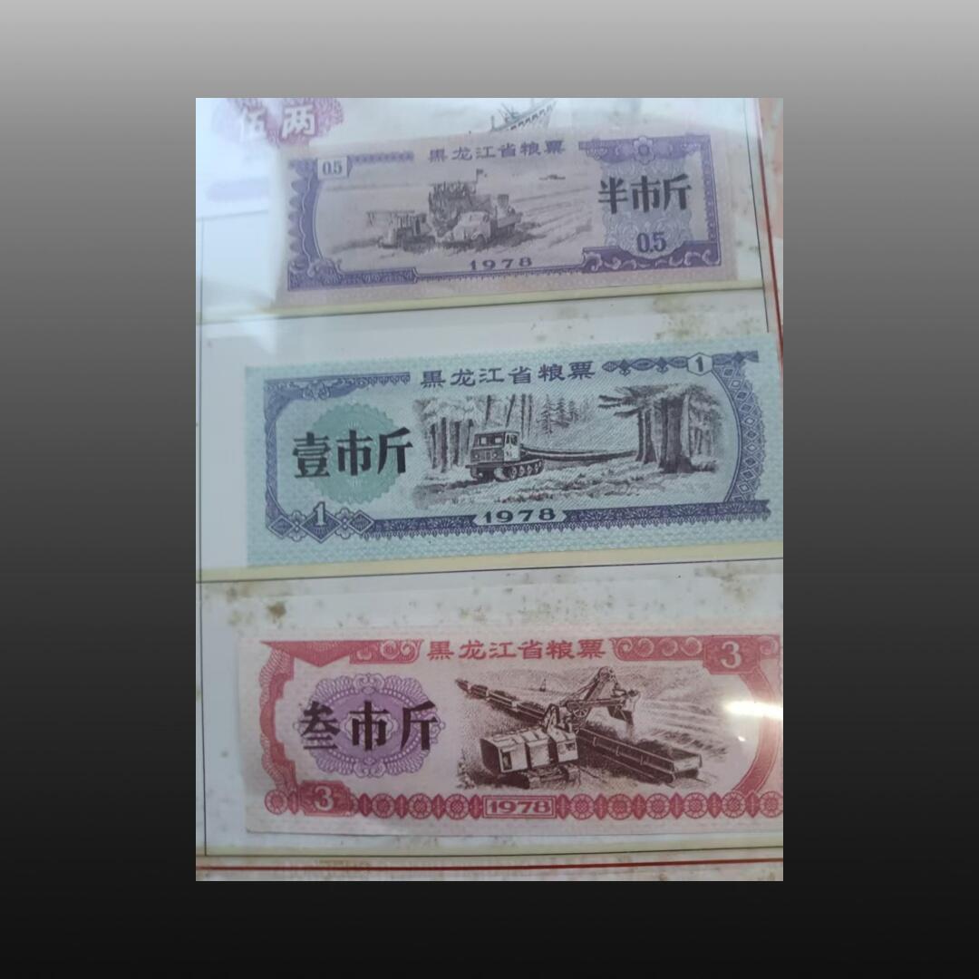 程曦曙光-安欣 地方粮票三十张，山水画