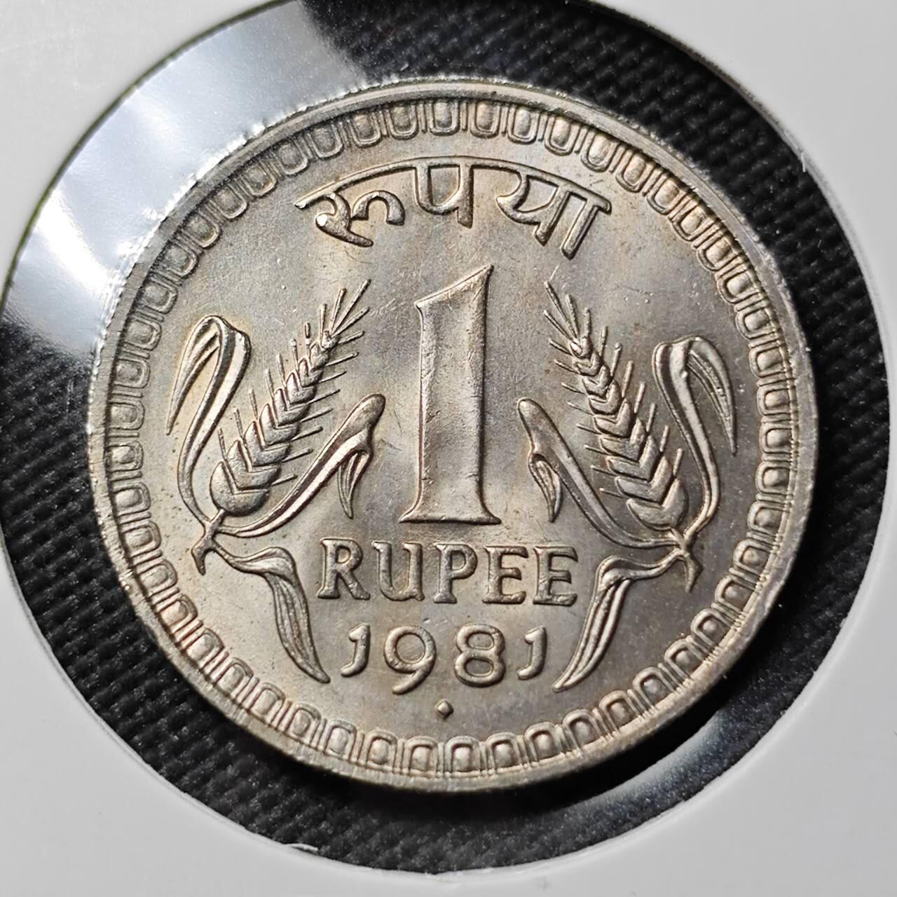 KK钱币收藏小铺  第383期  2月预留时间 周末发货