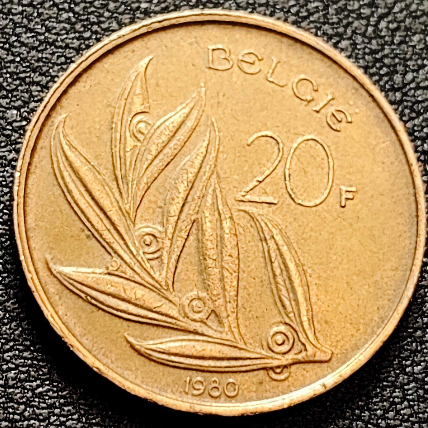 泉币菌-第159场-新年第二场 精品福利场 。