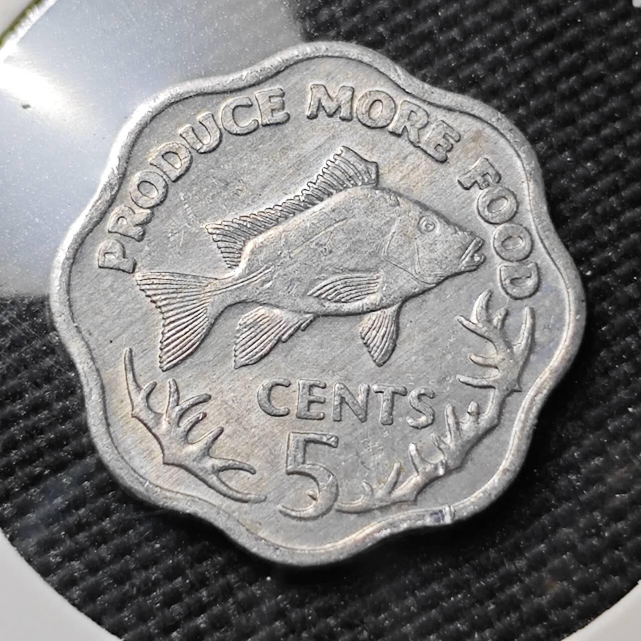 KK钱币收藏小铺  第383期  2月预留时间 周末发货