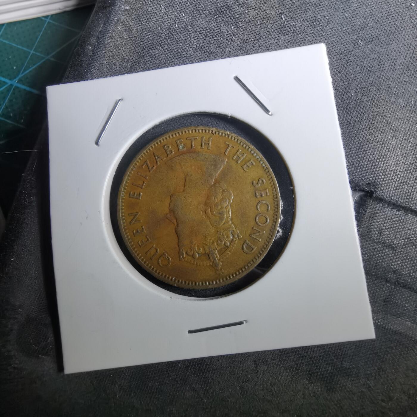 沼泽如烟--第950场