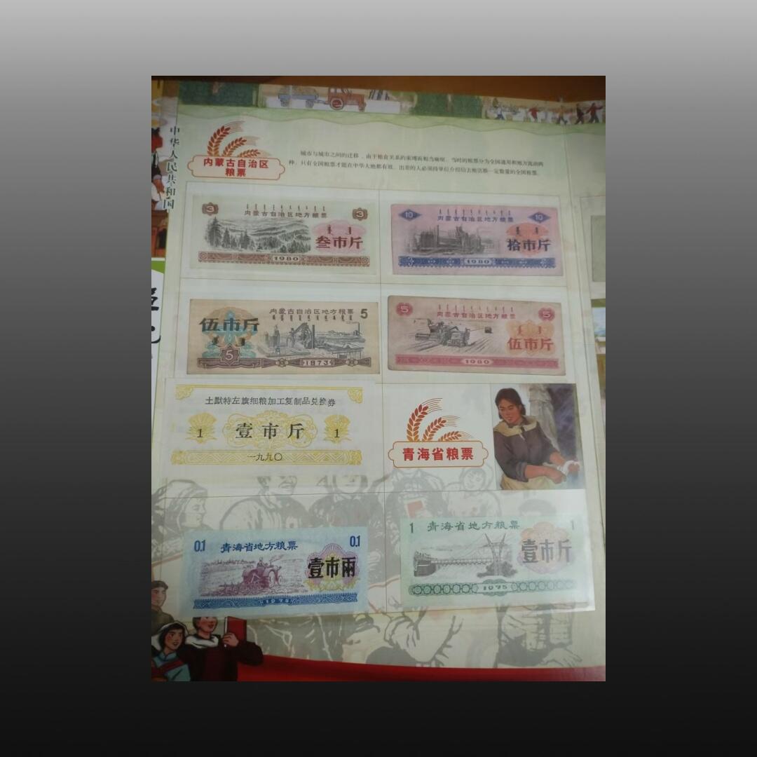 程曦曙光-安欣 粮票整本100张