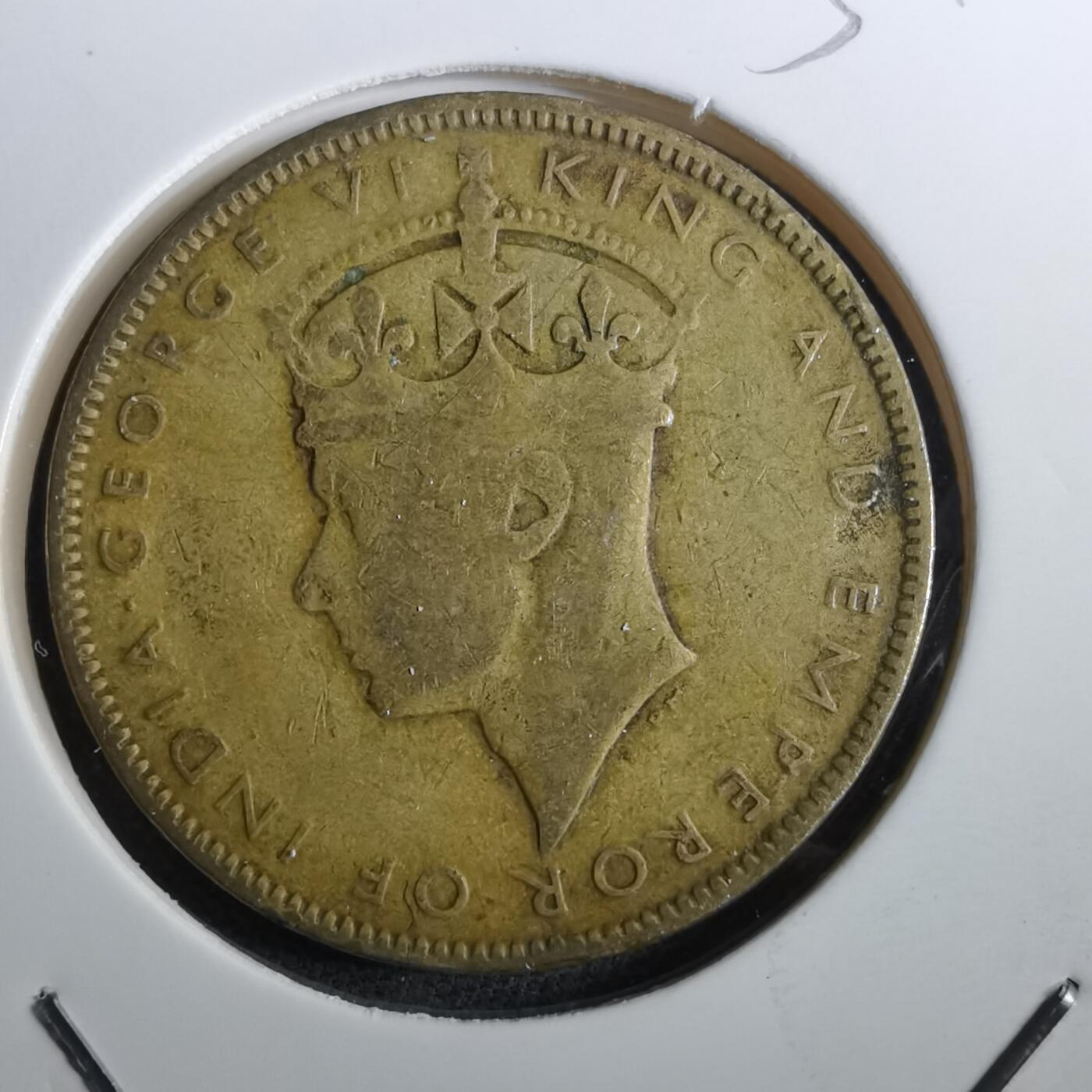 沼泽如烟--第950场