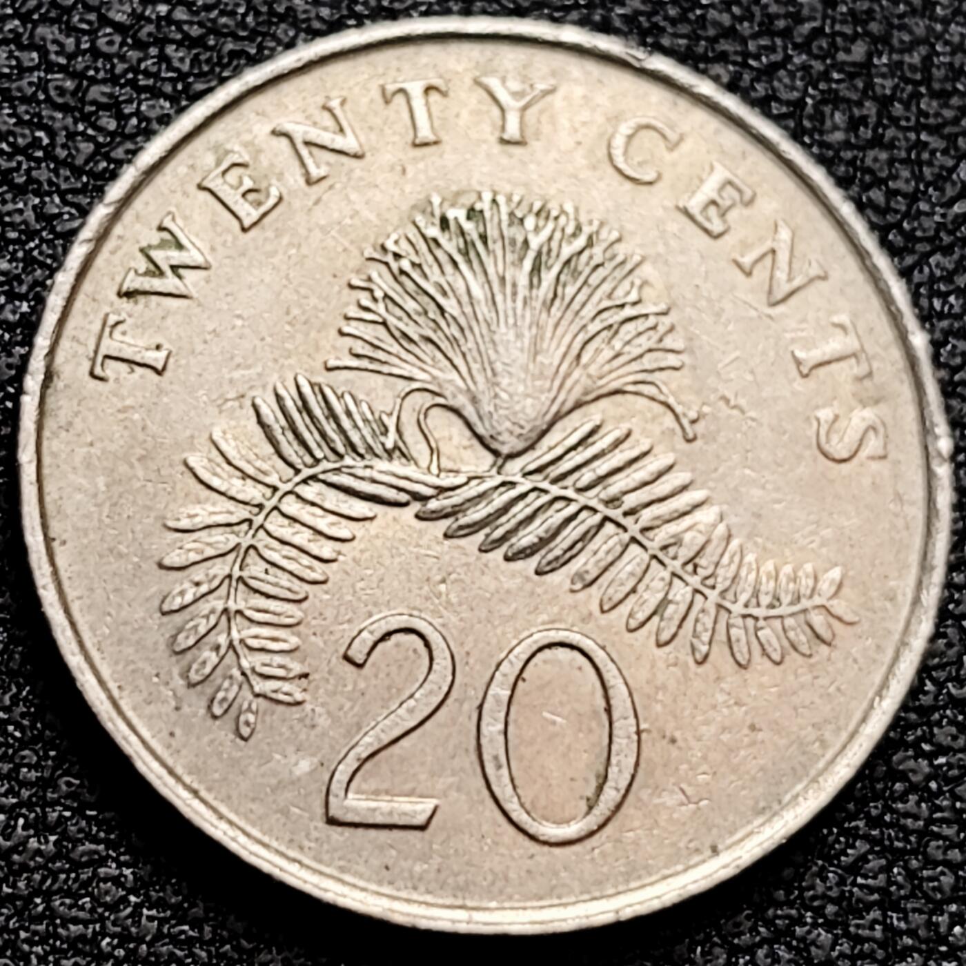 泉币菌-第159场-新年第二场 精品福利场 。