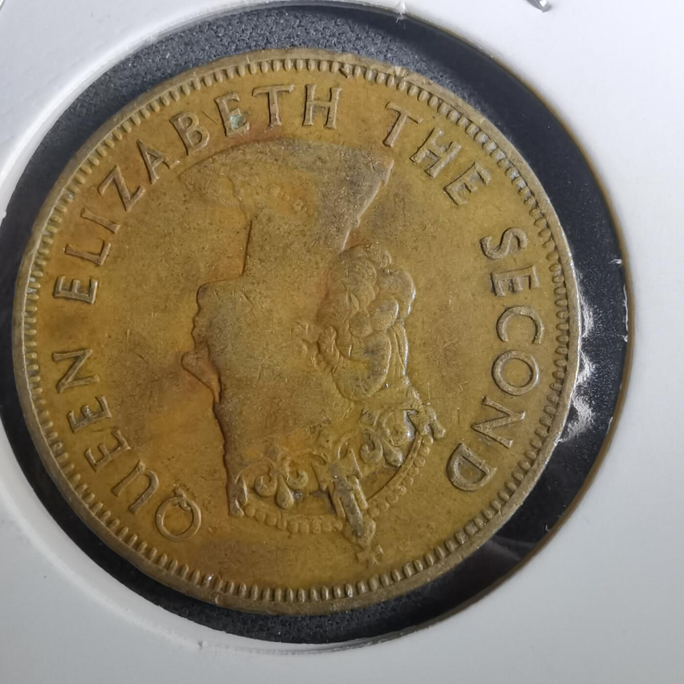 沼泽如烟--第950场